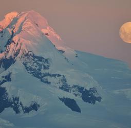 Groepsrondreis Antarctica