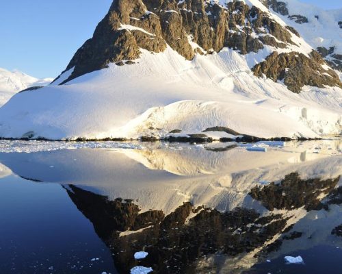 Falklands en South Georgia