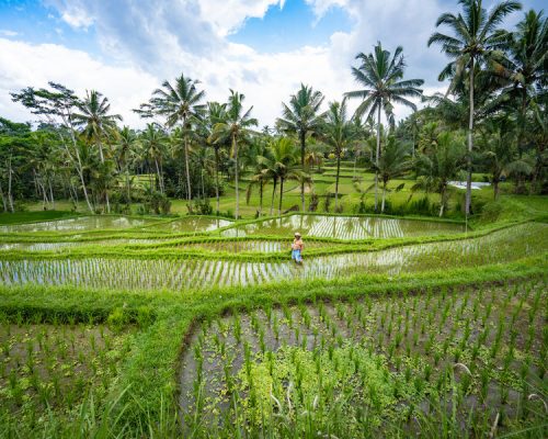main_JeroenCox_Sawadee_Indonesia_2019-32