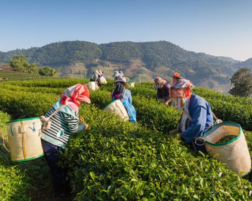 Groepsrondreis Singapore