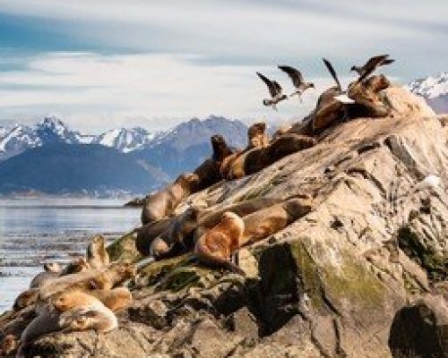 Groepsrondreis Patagonië Hoogtepunten
